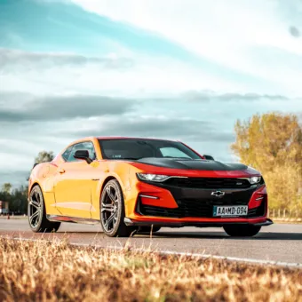 https://www.drxsport.hu/assets/files/images/DSC02012.jpg